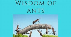 10. Ant Sting wisdom